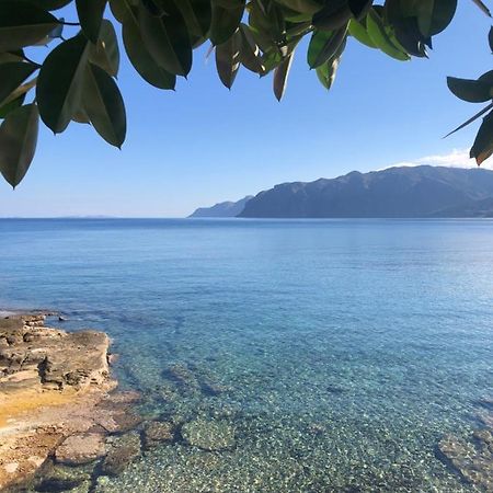 The Island House - Family Size Apt - Overlooking The Aegean - 3 Steps From The Beach Mochlos Buitenkant foto