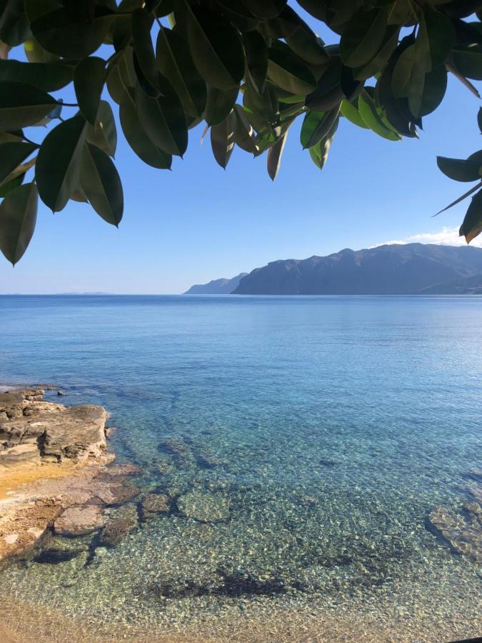 The Island House - Family Size Apt - Overlooking The Aegean - 3 Steps From The Beach Mochlos Buitenkant foto